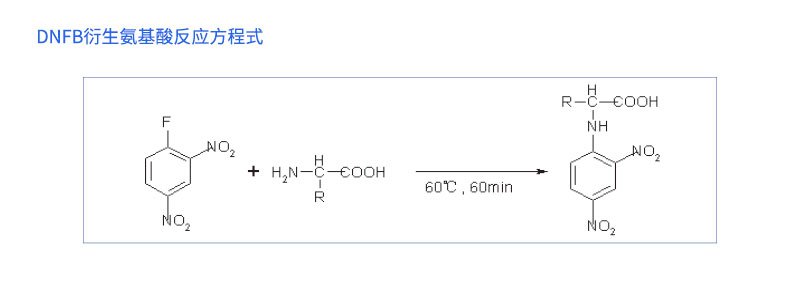DNFB衍生氨基酸反應程式