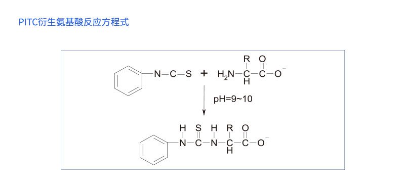 PITC衍生氨基酸反應方程式